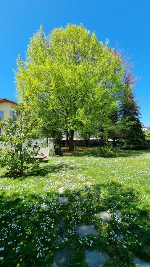 Albergo Ristorante Trieste Boves Exterior foto